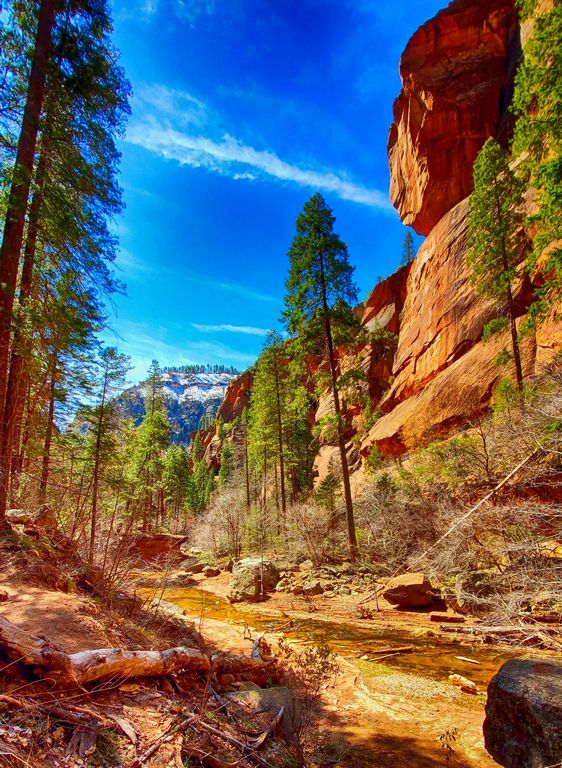 Oak Creek: West Fork Trail